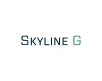 Skyline G - Executive Coaching & Leadership  image 1